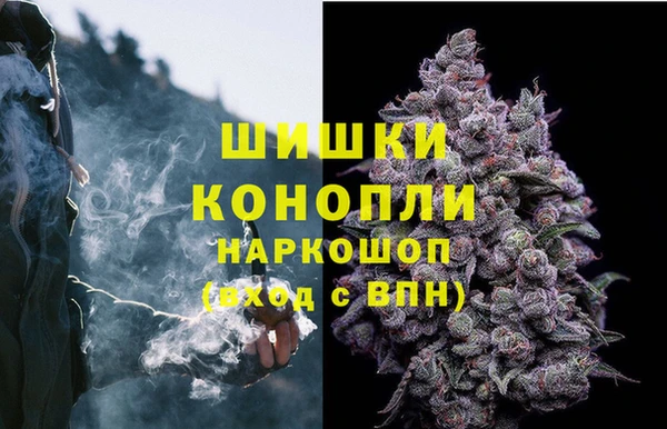 тгк Магадан