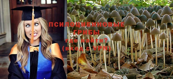 дурь Белоозёрский