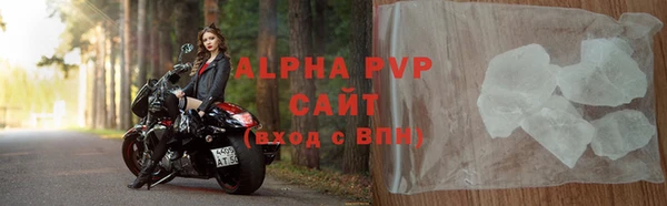дмт Белокуриха