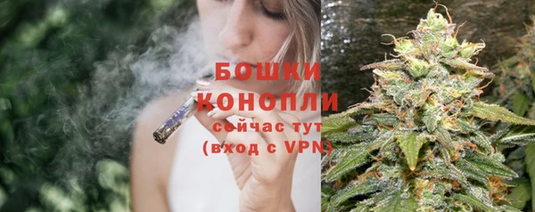 дмт Белокуриха
