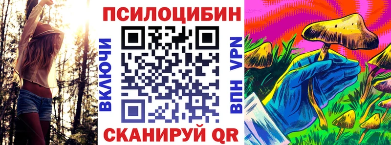 Псилоцибиновые грибы мухоморы  закладка  Тосно 